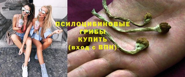 первитин Алексин