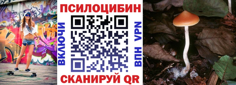 купить  цена  Амурск  Псилоцибиновые грибы Magic Shrooms 