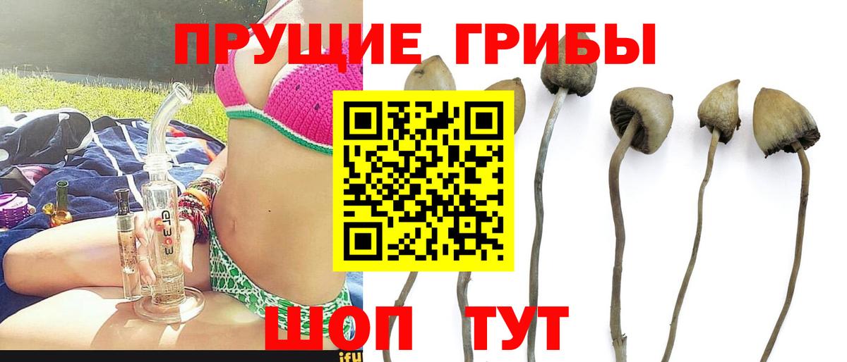 Галлюциногенные грибы прущие грибы  Псилоцибиновые грибы прущие грибы  Амурск  Вход с VPN 