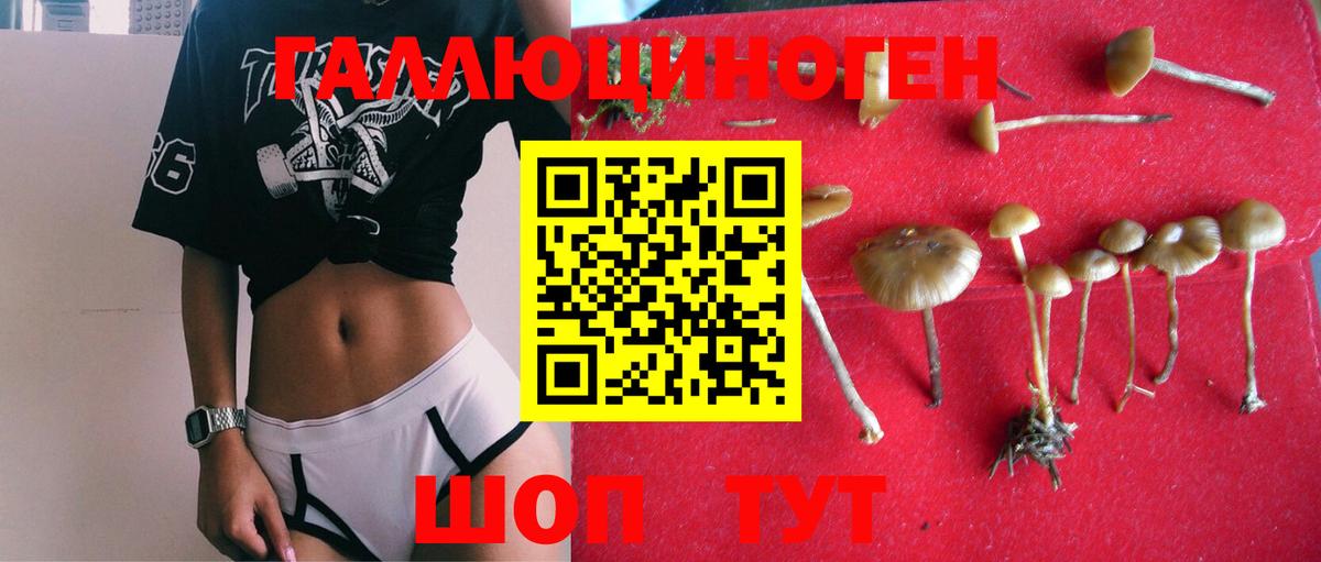 КЕТАМИН Амурск